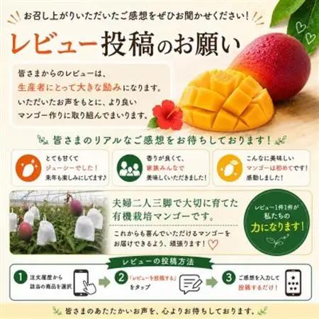 【2027年7月上旬から順次発送・有機JAS認証】オーガニックマンゴー2kg(4～5玉)【配送不可地域：離島】【1589198】