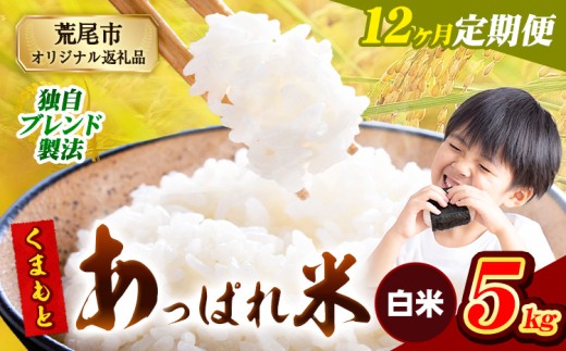 【12ヶ月定期便】熊本県産 くまもとあっぱれ米 ブレンド米 5kg 熊本県産 ふるさと納税 白米 精米 米 こめ ふるさとのうぜい コメ お米 おこめ《お申込み翌月から出荷》