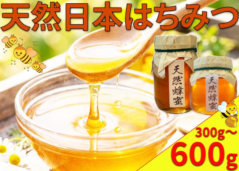 
                  はちみつ 国産 日本はちみつ 300g 600g 日本みつばち 和 蜂蜜 蜜蜂 みつばち 天然はちみつ ハニー 美容 健康 栄養豊富 コーヒー 紅茶 レモン ミルク ジンジャー スイーツ ヨーグルト パンケーキ トースト 保存食 菓子 産地直送 徳島県 三好市 みよし
                