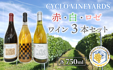 496ワイナリー プレミアムワイン３本セット(赤・白・ロゼ 各1本)東御市産