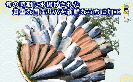 国産塩サバフィレ ４０枚 約５kg 冷凍 貴重な 国産 天然 塩さば フィーレ 塩サバ フィレ 鯖 さば 塩鯖 塩さば 塩サバ 美味しい 国産塩さば 国産塩サバ 国産塩鯖 海鮮 大容量 山盛り 無添加