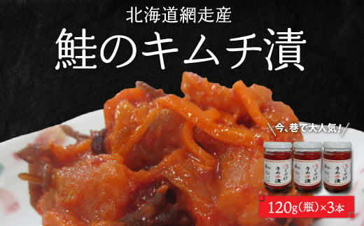 ＜網走産＞大人気 鮭のキムチ漬 【 ふるさと納税 人気 おすすめ ランキング シャケ しゃけ 秋鮭 キムチ 海鮮漬 鮭のキムチ漬 北海道 網走市 送料無料 】 ABC019