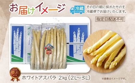 【2025年発送】ホワイトアスパラ 2kg(2L～3L )【 優品 】 白 旬 新鮮 野菜 朝採れ アスパラ アスパラガス ジューシー ギフト 産地直送 お取り寄せ フレッシュ 丁寧 健康 美容 簡単