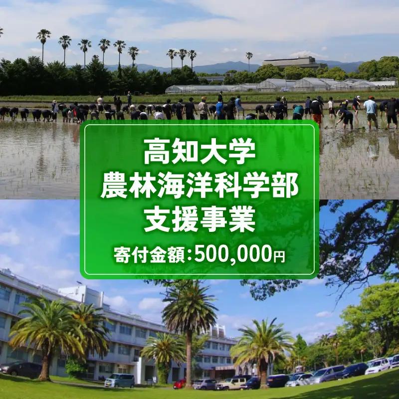 【返礼品なし/500,000円】 高知大学 農林海洋科学部 支援事業(教育・研究・地域貢献を支える寄附) 支援