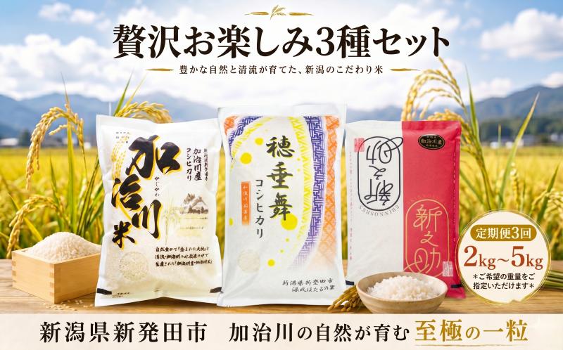 
                  【 贅沢お楽しみ3種セット】 令和7年産 新潟県産 コシヒカリ 穂垂舞 新之助 2kg 5kg 3回 定期便 米 お米 おこめ こしひかり ほたるまい しんのすけ 新発田市産 加治川産 新潟産 ふるさと納税 精米 米 お米 おこめ コメ ライス ご飯 ごはん 美味しい 贈り物 国産 新潟県 新発田市 お取り寄せ 産地直送 GAP認証 JGAP アグリ加治川 agk012P
                