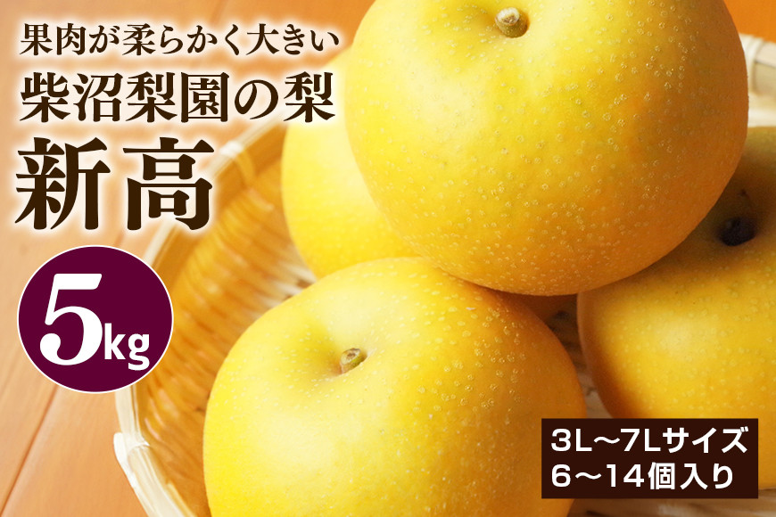 
            柴沼梨園の梨（新高） 梨 5kg 大玉 6～14個入り ナシ なし 国産 茨城 新高梨 秋 旬 フルーツ 果物 先行予約【9月下旬～10月上旬発送】秋の味覚 旬の果物 くだもの 大きい サイズ 品種 新高 産地 茨城県産 家庭用 梨園直送 茨城県 笠間市
          