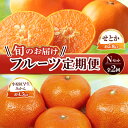 【ふるさと納税】【旬のお届け フルーツ定期便 2回】Nセット せとか 約5.0kg 小原紅早生みかん 約4.5kg みかん 旬 フルーツ 果物 国産 香川県 F5J-792