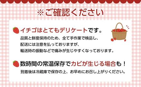 福岡産あまおう12-15粒＆明太子540g【ギフト箱入】※一部離島不可【あまおう 苺 いちご イチゴ フルーツ 果物 くだもの 旬 明太子 めんたいこ 魚卵 卵 ご飯のお供 ギフト 贈答 甘い 美味し