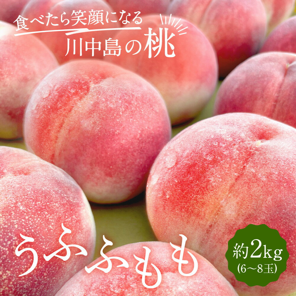 【ふるさと納税】すーさんの果樹屋　【先行予約】川中島の桃 約2kg 品種おまかせ 7月下旬～8月上旬発送予定 | もも 桃 フルーツ 果実 産地直送 人気 おすすめ ギフト プレゼント 送料無料 長野県 長野市 信州 信濃 ふるさと納税
