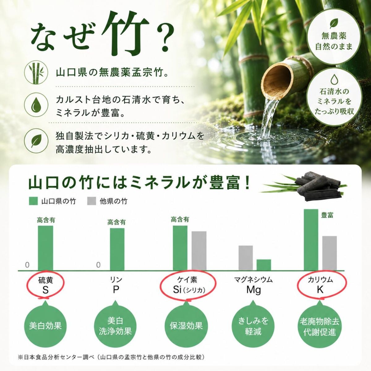 山口の竹から生まれたスキンケアbambina竹白和漢化粧水150ml  2本セット 化粧水 ローション 竹炭ミネラル 和漢エキス