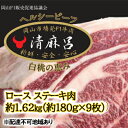 【ふるさと納税】清麻呂 牛 ロース ステーキ肉 約1.62kg（約180g×9枚）岡山市場発F1 牛肉 岡山県産　【 お肉 精肉 友ロース 岡山県 F1牛肉 霜降り 交雑牛 やわらかい 風味豊か 】