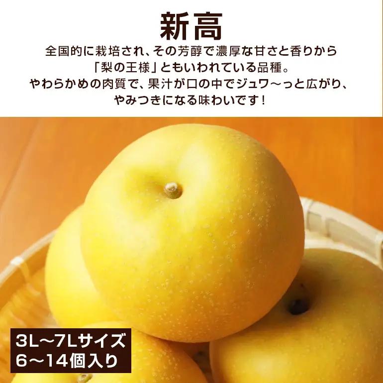 【ふるなびWEEK対象】新高 梨 3kg 柴沼梨園の梨 BX-023