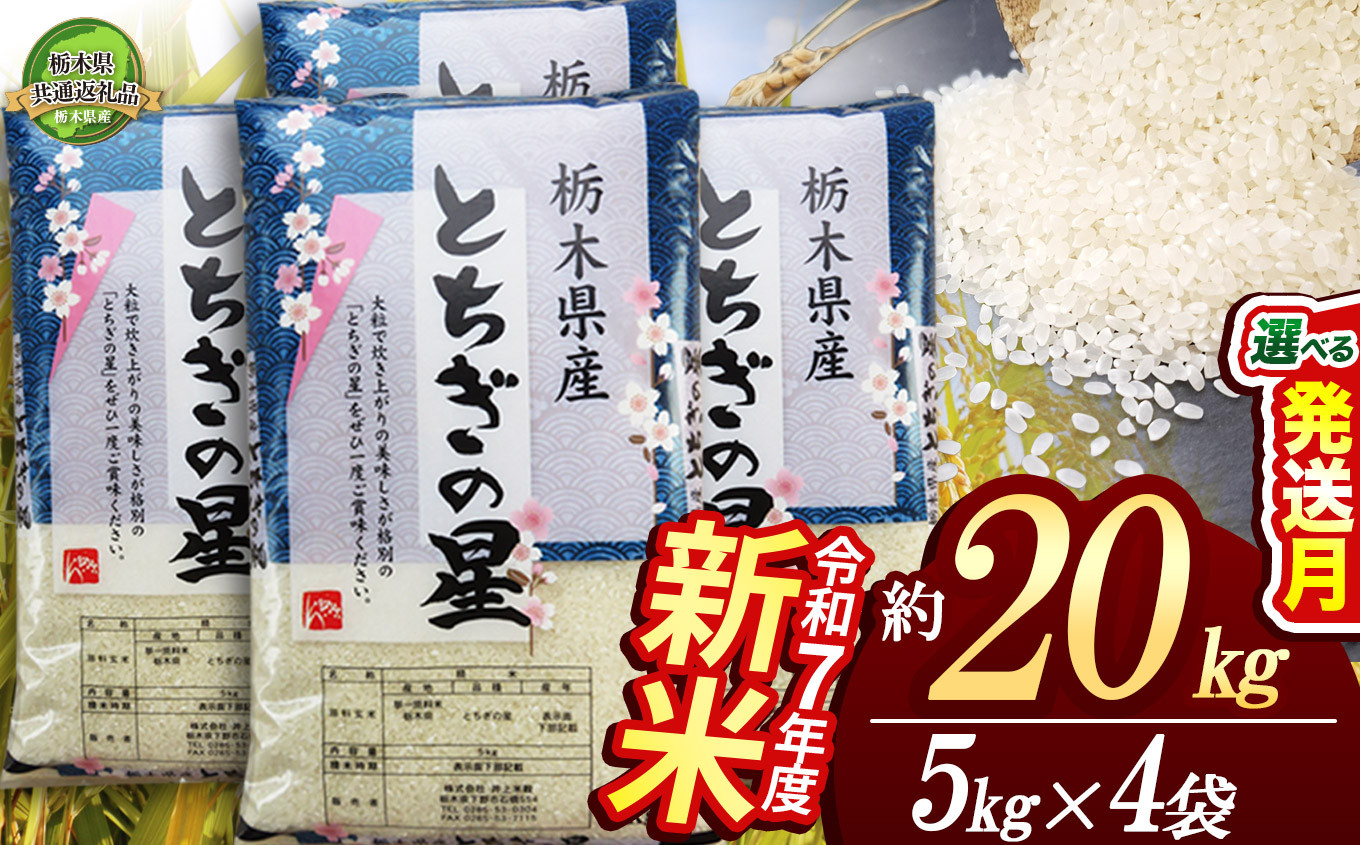 
            【栃木県共通返礼品】【先行予約】とちぎの星 20kg（5kg×4袋） | 定期便あり 米 こめ コメ kome 白米 精米 お米 とちぎのほし トチギノホシ ﾄﾁｷﾞﾉﾎｼ 粘り 弾力 冷めても美味しい 丼もの カレー 新米 栃木米 令和7年度米 令和7年度 2025年度米 2025年度 ブランド米 栃木県 特産品 送料無料 栃木県 下野市 しもつけ市
          