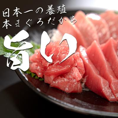 ふるさと納税 大月町 【高知県産 養殖本マグロ】 1kg 3種(中トロ300g 赤身450g ブツ切り300g) |  | 01