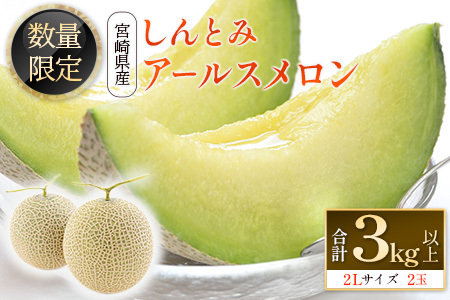 ＜数量限定＞しんとみアールスメロン 2L2玉 計3kg以上 先行予約 国産 フルーツ 果物 宮崎県産 ※2025年11月～12月の期間内に出荷【B520-01】