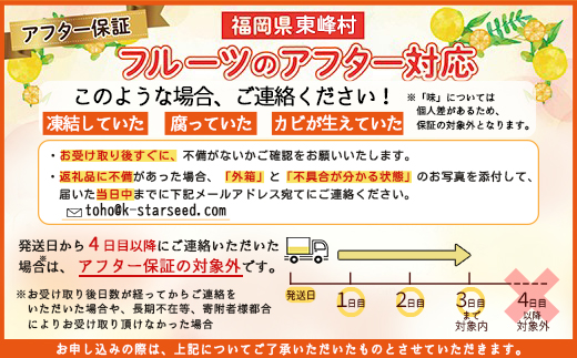 福岡県ブランド いちじく 「 とよみつひめ 」約1.2ｋｇ(約300ｇ×4パック) イチジク 無花果 国産 フルーツ 果物 食物繊維 美容 送料無料 3S2 