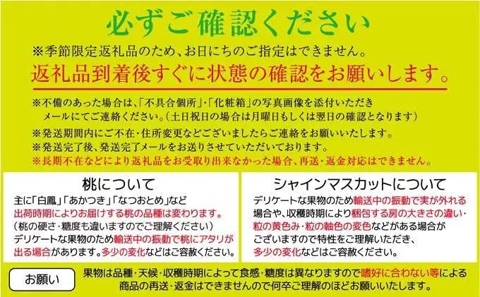 【定期便全2回】旬のフルーツ定期便 (ニューピオーネ シャインマスカット)【葡萄 ぶどう 旬 人気 フルーツ 果物 くだもの 香川県】