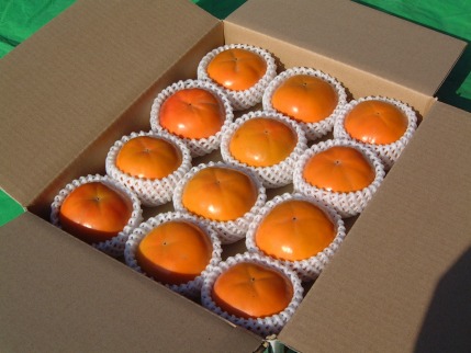 一心農園の富有柿 家庭用 約4kg