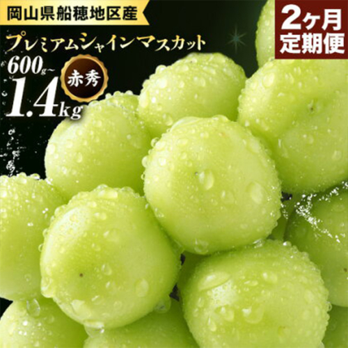 ぶどう 岡山県船穂地区産 プレミアム シャインマスカット 晴王 赤秀 600g 700g 1.2kg 1.4kg 1房 2房 2ヶ月定期便 彩美菜果《9月上旬-10月末頃出荷》 マスカット 岡山県 浅口市 フルーツ 果物 贈り物 国産 くだもの 【配送不可地域あり】