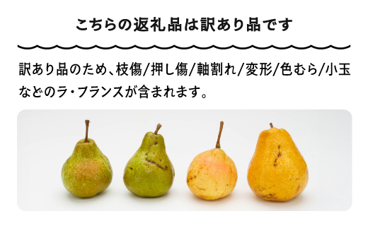 ラ・フランス 洋梨 訳あり 約5kg 2025年産 令和7年産 フルーツ 果物 山形県 ns-lawax5