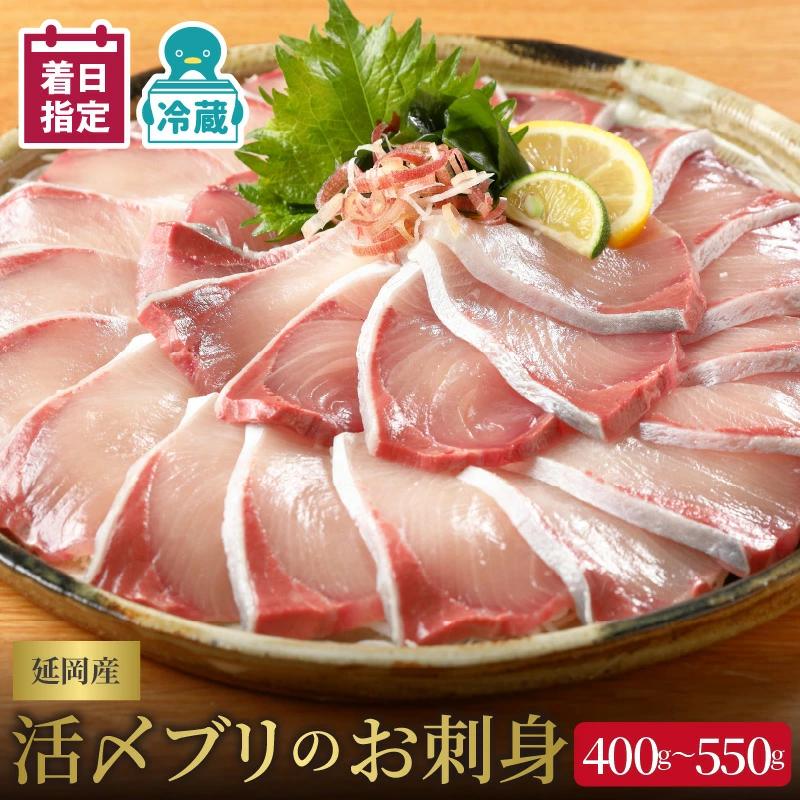 【冷蔵】【日向灘どれ】延岡産活〆ブリのお刺身400g～550g N019-YA2259