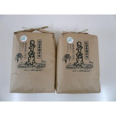 ふるさと納税 横手市 令和7年産「あきたこまち」無洗米5kg×2袋【JGAP認証】【秋田県特別栽培農産物認証】