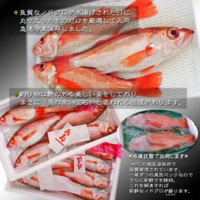ふるさと納税 新発田市 【鮮度抜群】真空冷凍　日本海産ノドグロ 1尾(約1kg以上) |  | 02