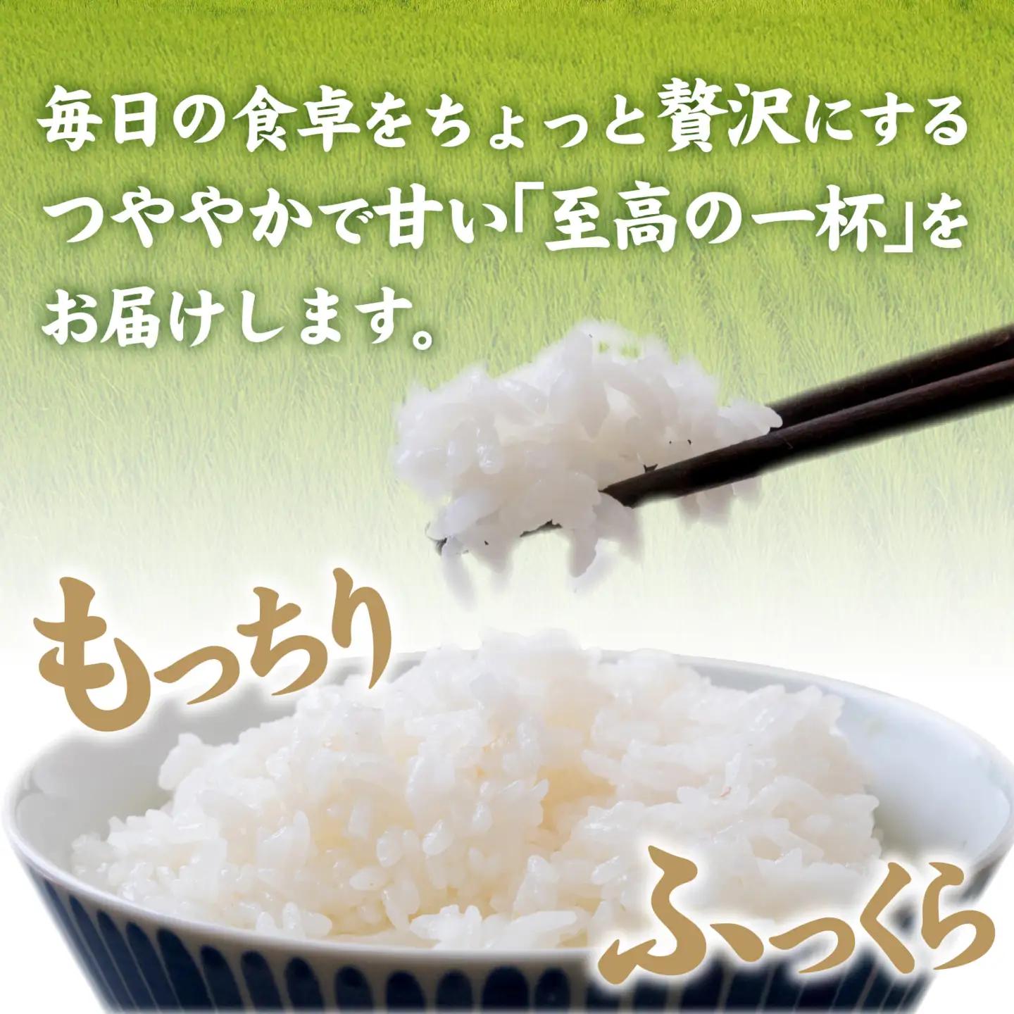 【先行予約】【ふくい米】令和8年産  福井市産コシヒカリ5kg 「2026年10月上旬より順次発送」 [A-168014] | こしひかり