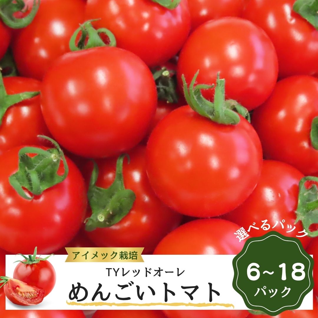 【ふるさと納税】 めんごいトマト TYレッドオーレ 2026年1月発送 めんごいとまとたむら アイメック栽培 ミニトマト トマト プチトマト 冬トマト 野菜 農家直送 ギフト プレゼント 新鮮 福島県 田村市 堀越農園