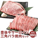 【ふるさと納税】豊後牛 焼肉 セット サーロイン ステーキ 360g 三角バラ 500g 合計860g 肉 牛 和牛 豊後牛 銘柄牛 国産牛 黒毛和種 黒毛和牛 和牛 冷凍 国産 九州産 竹田市 大分県産 送料無料