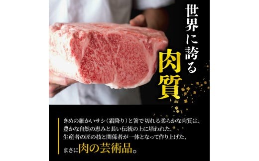 松阪牛 ハンバーグ 1kg ( 100g ✕ 10個 ) 冷凍 小分け 個包装 松阪 牛肉 合挽き ブランド牛 肉汁 ｼﾞｭｰｼｰ 和牛 国産牛 松阪牛 松坂牛 お弁当 便利 おすすめ 人気 自家牧場