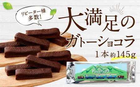 南阿蘇鉄道 トロッコショコラ 10本（約145g×10本）【2026年2月発送】菓子 お菓子 焼き菓子 チョコ風味 ショコラ ガトーショコラ 個包装 小分け
