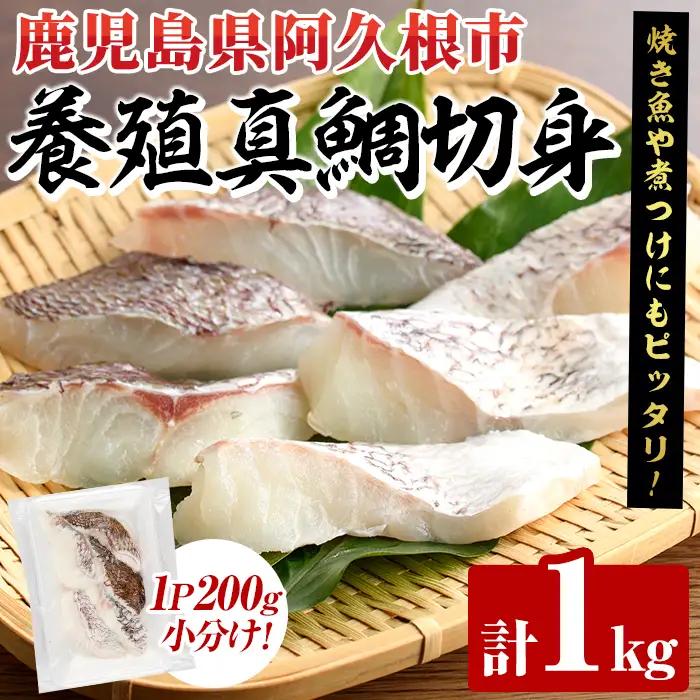 天然真鯛切身(約1kg) 鹿児島県 阿久根市 たい タイ 真鯛 魚貝 魚介 海産物 切身 切り身 煮物 煮つけ 焼き魚 おかず おつまみ 小分け 【さるがく水産】akn028-46