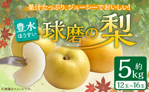 【発送時期：2026年8月中旬～8月下旬】熊本県ＪＡくま産　球磨の梨　豊水 5kg（12玉～16玉）