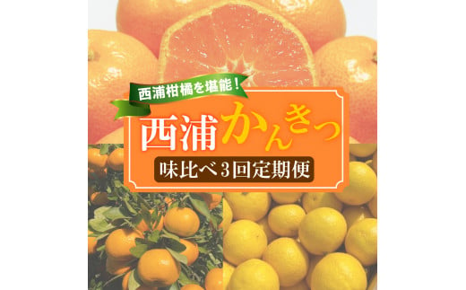 【 柑橘 定期便 】 訳あり 味比べ 3回 定期便 由良 みかん 寿太郎 みかん 黄金柑 5kg