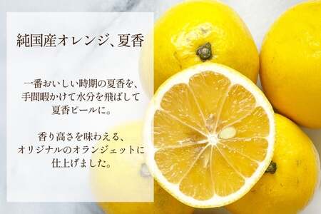 チョコ オランジェット サマー オレンジ 5粒入り 2箱 セット 12回 定期便 総計 24箱