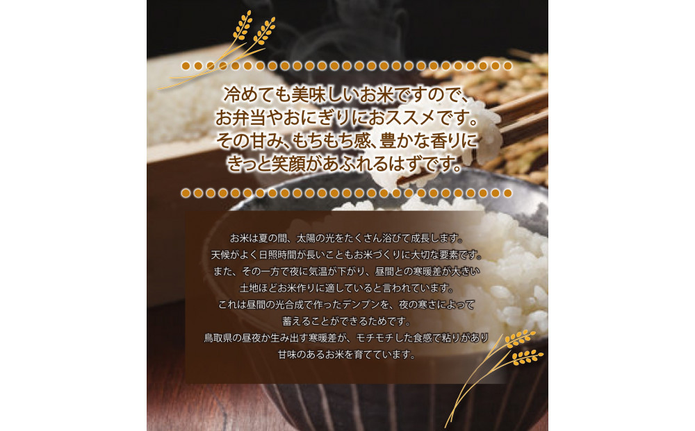 1104.令和7年産　きぬむすめ精米 5kg