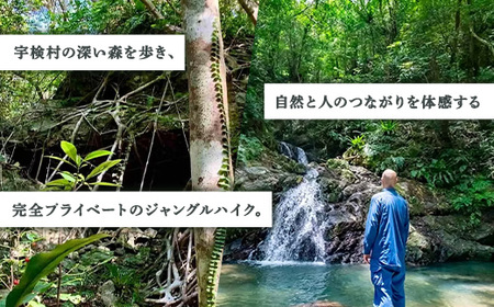 宇検ジャングル冒険 4名様 奄美大島 宇検村 鹿児島県 旅行 自然 冒険 完全プライベート