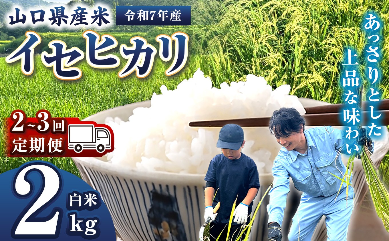 
                  【 定期便 】 令和7年産 山口県産米 イセヒカリ 2kg 選べる 配送回数 2回 3回 ｜ 令和7年産 いせひかり 山口県産米 こめ お米 コメ 白米 精米 ごはん ご飯 瀬戸内 山口県 平生町 2kg
                