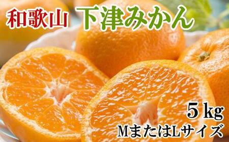 ［産直・秀品］和歌山下津みかん約5kg(MサイズまたはLサイズのいずれかをお届け) ★2026年11月中旬頃より順次発送［TM74］