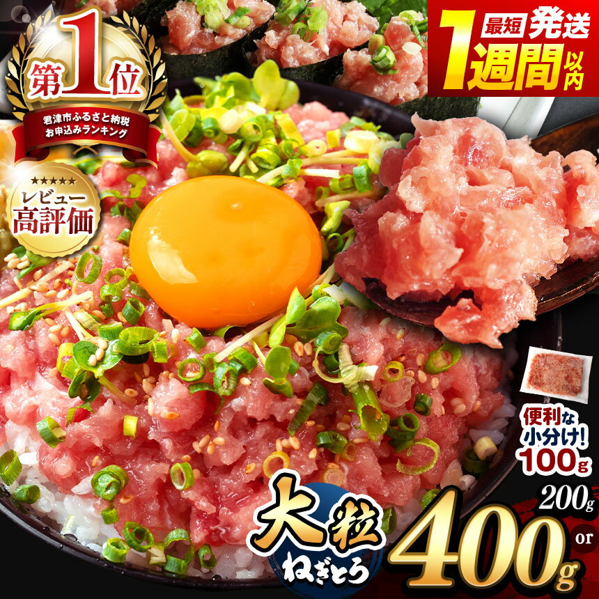 【ふるさと納税】★ レビューキャンペーン 実施中 ★ 100g パック 200g 400g 定期便 最短7日以内発送 関東限定 お試し 選べる ねぎとろ 小分け スピード発送 | 清幸丸水産 高評価 単身用 ネギトロ マグロ たたき タタキ 鮪 海鮮 海鮮丼 雑誌掲載 イチオシ 君津市 きみつ