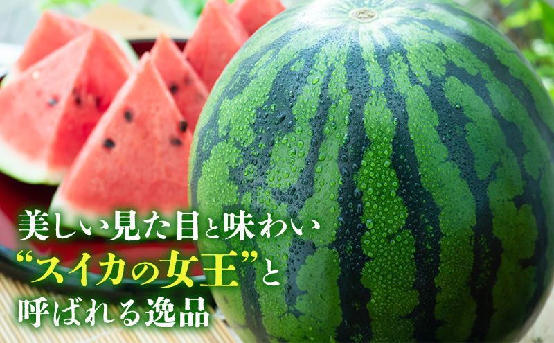 【ANA限定】【2025年8月より順次発送】ふらの山部の超大玉絶品スイカ『マドンナスイカ』 3L～4L 1玉（坂口農産）マドンナ 富良野 北海道産 甘い 糖度 フルーツ 果物 お取り寄せ 夏ギフト お