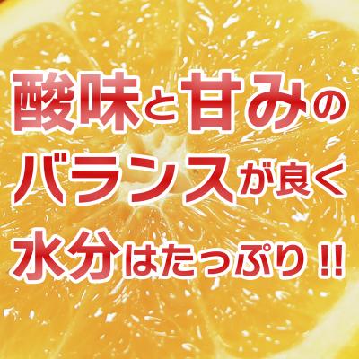 ふるさと納税 愛南町 冷凍 河内晩柑 500g×2袋 小分け 愛南ゴールド 和製グレープフルーツ おやつ 柑橘 かんきつ |  | 02