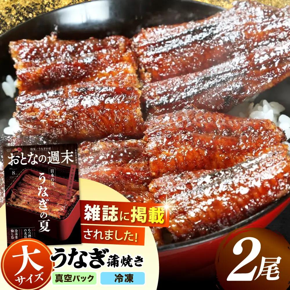 うなぎの蒲焼き 2尾 多治見市/うなぎや[TFO002] うなぎ 