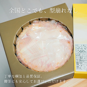 チーズケーキアントルメ 6号[18cm] 6～8人分 / 丸安田中屋 チーズケーキ 菓子 洋菓子 信州 長野県 諏訪市 諏訪 [18-02]