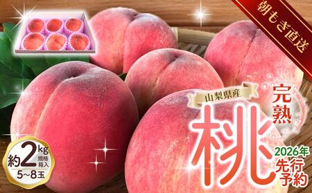 桃 山梨の桃　約2kg【tab0182】