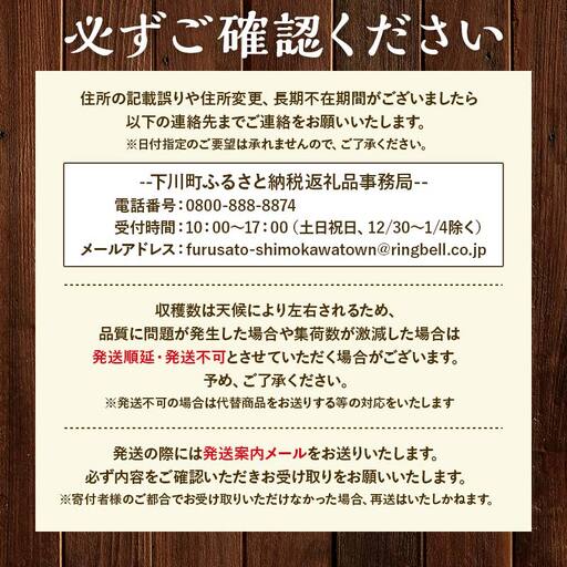 【先行予約】令和8年産 10～15玉前後 糖度8.0度以上 北はるか産フルーツトマト はるかエイト 2箱 フルーツ トマト グルメ 故郷 ふるさと 納税 国産 北海道産 北海道 下川町 F4G-034