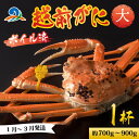 【ふるさと納税】【先行予約】越前港より直送！ 越前がに 大 (約700g～900g) 1杯 【1月～3月順次発送予定】 / 雄 ズワイガニ ずわいがに ズワイ蟹 越前ガニ ボイル 冷蔵 ご自宅用 カニ しゃぶしゃぶ 海鮮 カニすき カニ鍋 カニしゃぶ かに 国産 南越前町 送料無料