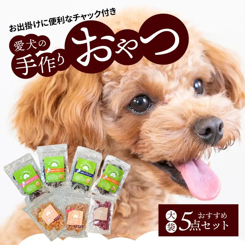 愛犬の手作りおやつ 大袋5点セット　全犬種対象 鹿肉 ペット ペットフード ジャーキー チップス 詰め合わせ Wanfood BULAN DK-0004