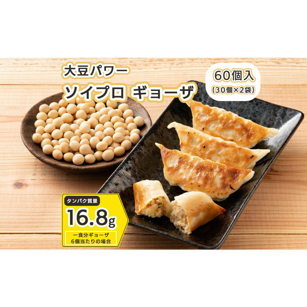 【ふるさと納税】大豆パワー ソイプロギョーザ 60個(30個入×2袋)